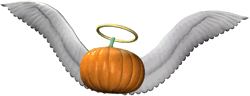 cherokeerosebordercolliepumpkinpatch.gif