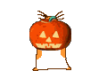 cherokeerosebordercolliespumpkinpatch.gif