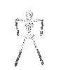 skel10.gif